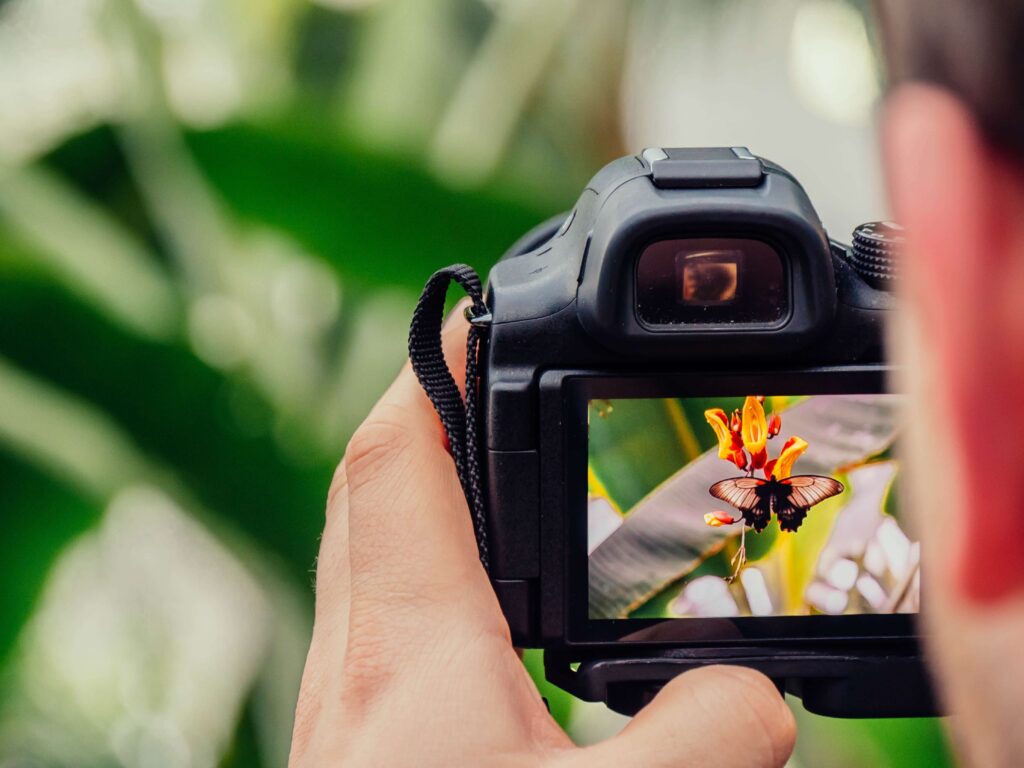 10 Tips for Better Photography