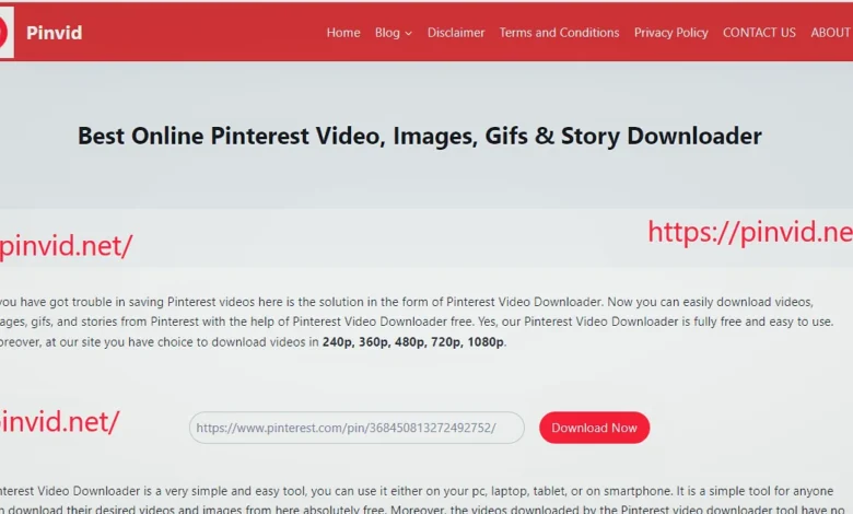Pinterest Video Downloader-Pinvid